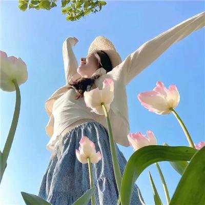 木兰花